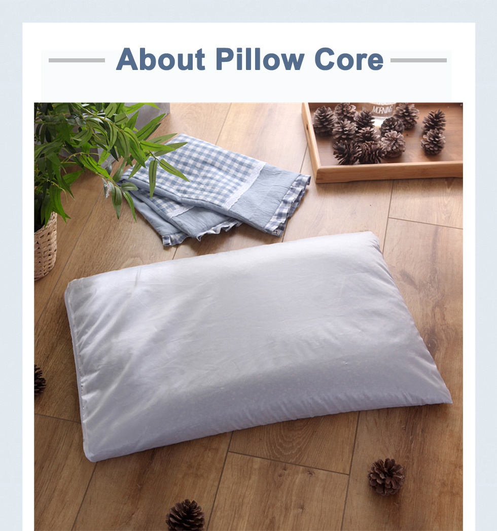 Adult Buckwheat Pillow-2